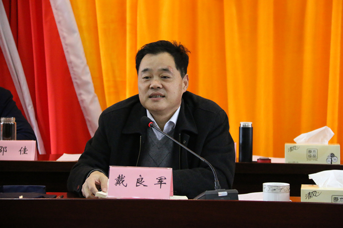 集團(tuán)黨委委員、副總經(jīng)理、總工程師戴良軍發(fā)表講話